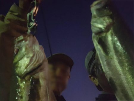 マイクロとバチが入り混じって